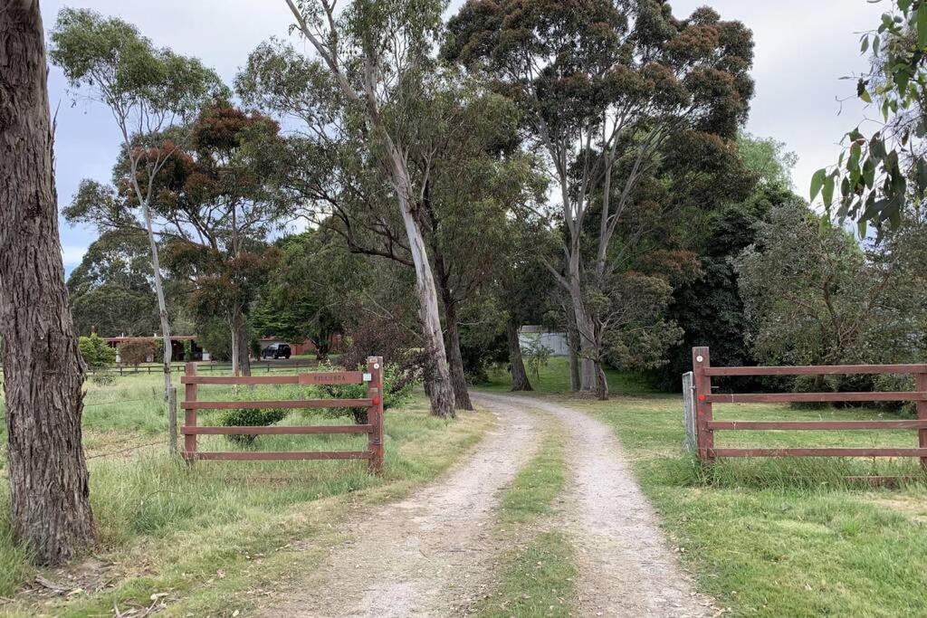 Willunga Cottage — Sweet Country Retreat Lyndhurst Exterior photo